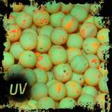 YOLK-BURST