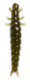 CADDIS FLY LARVA 2.2"